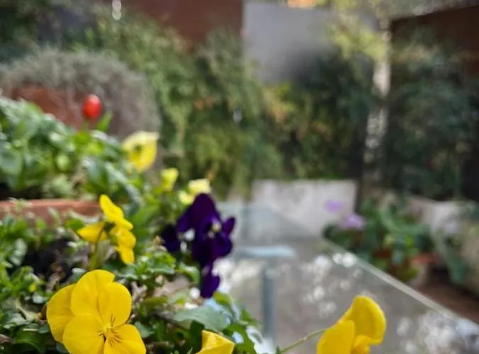 Garden House Rome